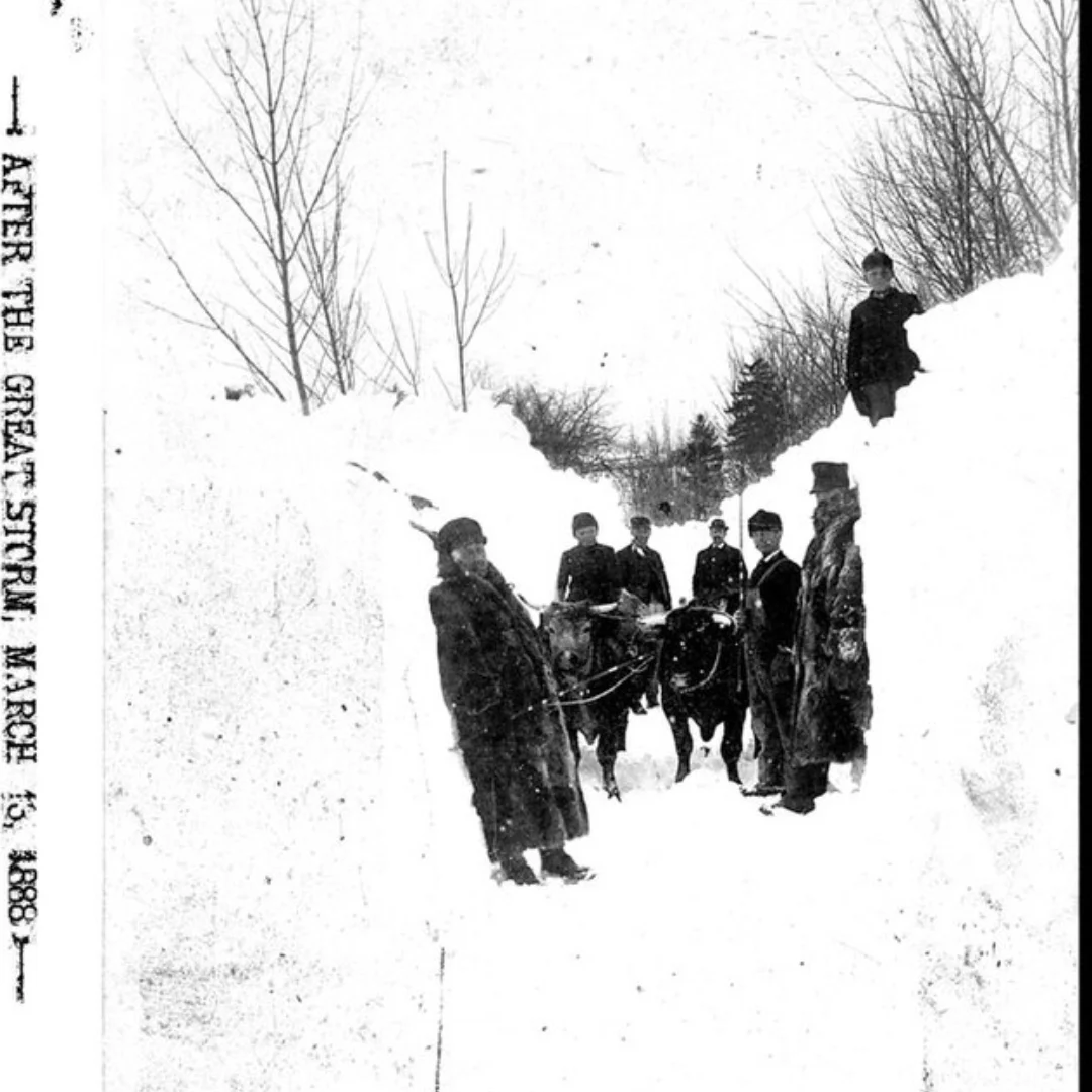 A group of men in black heavy winter coats stand between two tall snowbanks