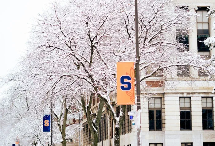 Two syracuse university flags in yellow and blue against lightposts, with snowcovered trees in the background